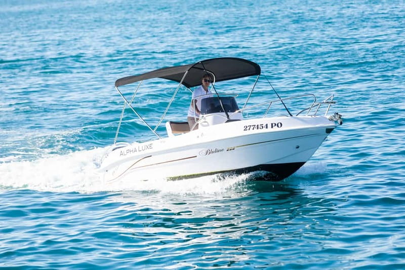 Private Family Dolphin Tour in Pore - Discover the Magic of a Private Dolphin Tour in Pore