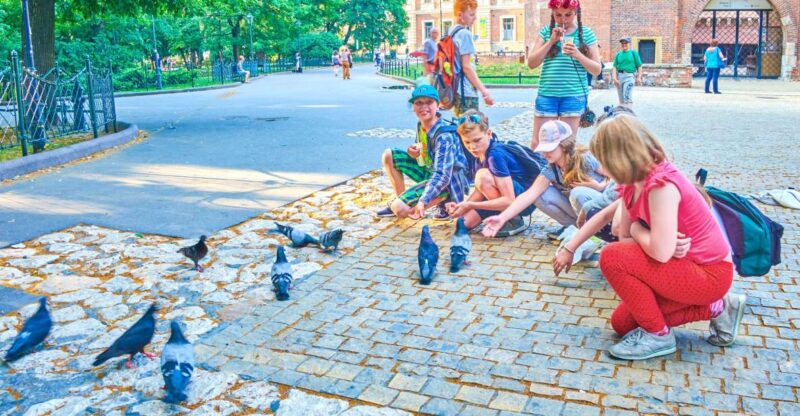 Private Family Tour of Krakow Old Town with Cruise Tickets - Wawel Hill: The Dragon’s Lair and Castle