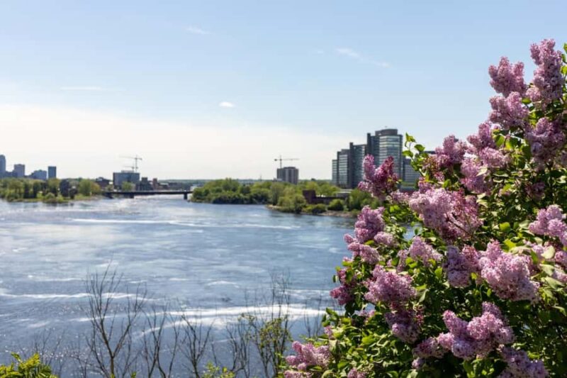 Private Family Walking Tour in Ottawa: Special Highlights - Relaxing in Majors Hill Park for Scenic Views