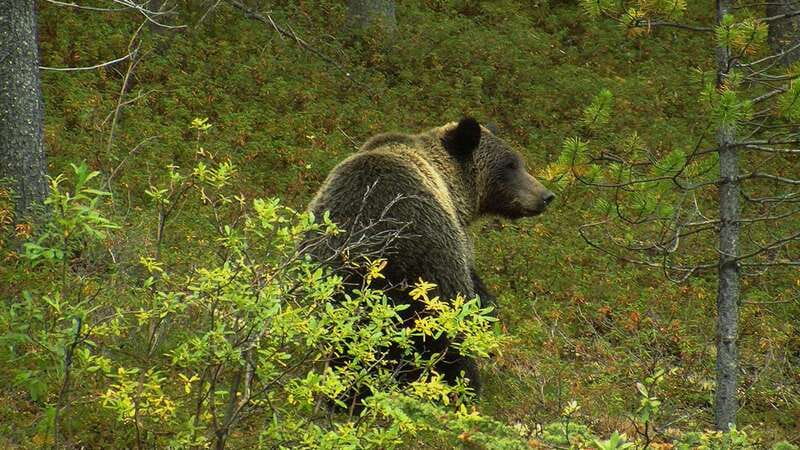 Private: Famous MOVIES + MOUNTAINS Photo Safari Drive - 4hrs - Safety and Comfort During the Safari