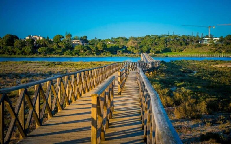 Private Faro Tour: Old Town, Bone Chapel & Ria Formosa - Experience the Vibrant Atmosphere at Faro Marina