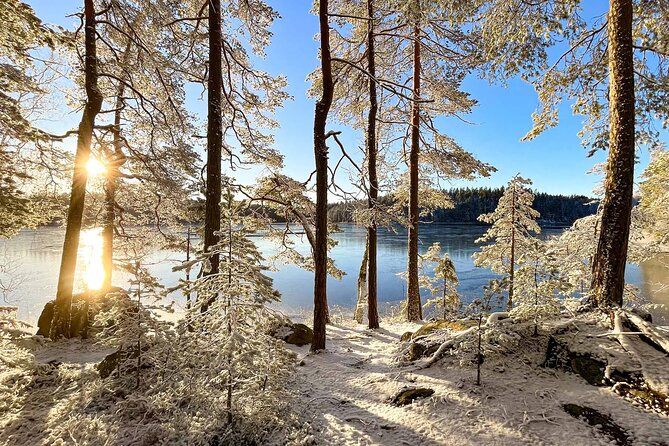 PRIVATE Finnish Forest Sauna + 3 course Finnish Dinner - Who Will Love This Experience Most