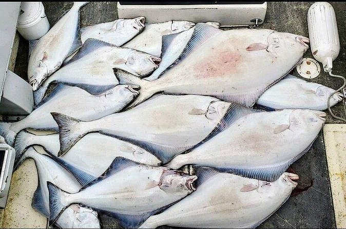 Private Fishing Adventure in Icy Strait Hoonah Alaska - What You Get with This Private Icy Strait Fishing Tour