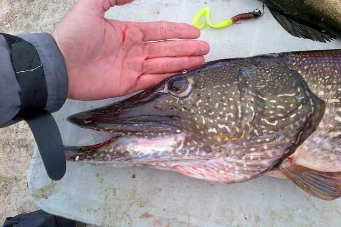 Private Fishing Adventure on the St. Lawrence River - Pricing and Booking Tips for the Best Experience