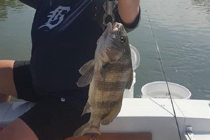 Private Fishing Boat Charters in Naples Bay and the Gulf - Fish Species You Can Expect to Catch