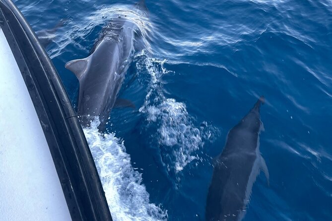 Private Fishing Charter for Family and Friends in Honolulu - Flexibility and Customization with Multiple Departure Times