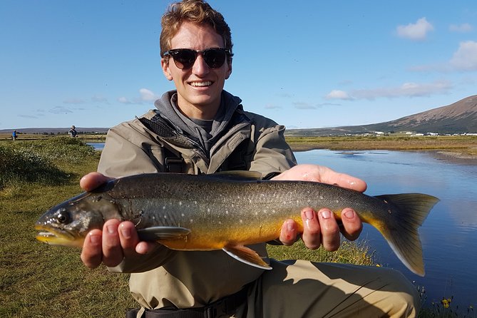 Private Fishing Tour from Reykjavik - Arctic Char and Brown Trout - Key Points