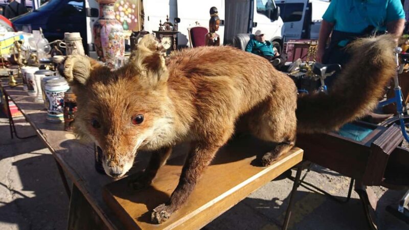 Private Flea Market Tour of Bucharest by a Vintage Car - Logistics and Practical Details