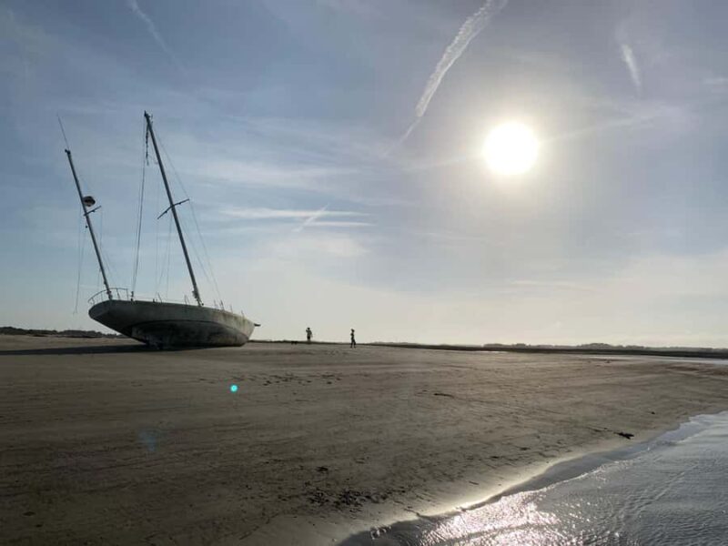 Private Folly River Dolphin Cruise/BYOB - Booking and Payment Options for Flexibility