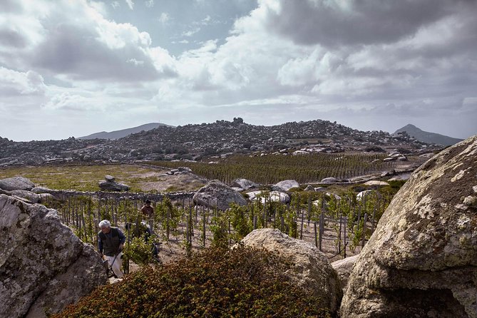 Private Food Tour & Wine Tasting In Tinos Island with a Local - Why This Tour Offers Excellent Value