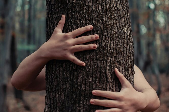 Private Forest Bathing Experience Connect with Nature - The Expert Guidance of Scott and Indigenous Healers