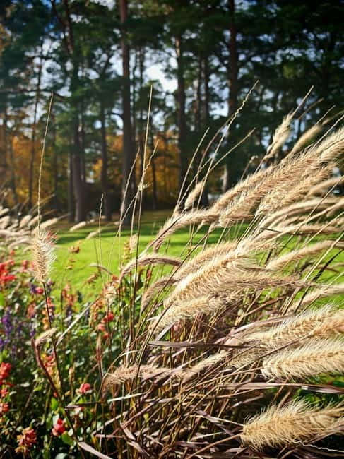 Private Forest Mind Tour in Tampere - Exploring the Forest Mind Tour in Tampere