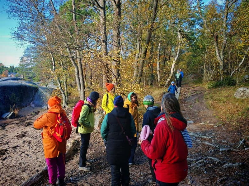 Private Forest Mind Tour in Tampere - How the Forest Mind Tour Embraces Finnish Well-Being