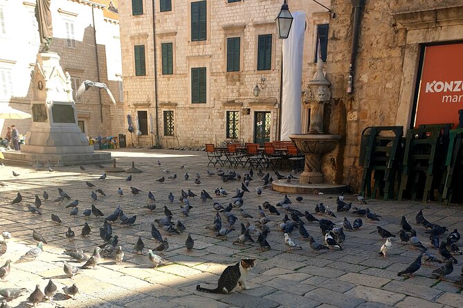 Private Fort Lovrijenac and Dubrovnik City Tour - Practical Details and Logistics