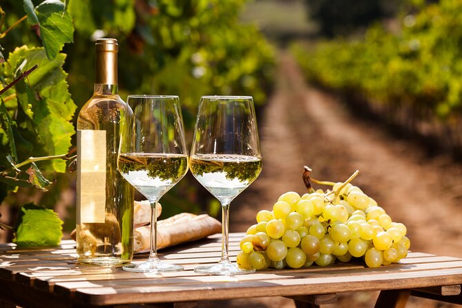 Private Frascati Day Trip With Lunch & Wine Tasting in a Vineyard - Frascati’s Historic Center and Villas