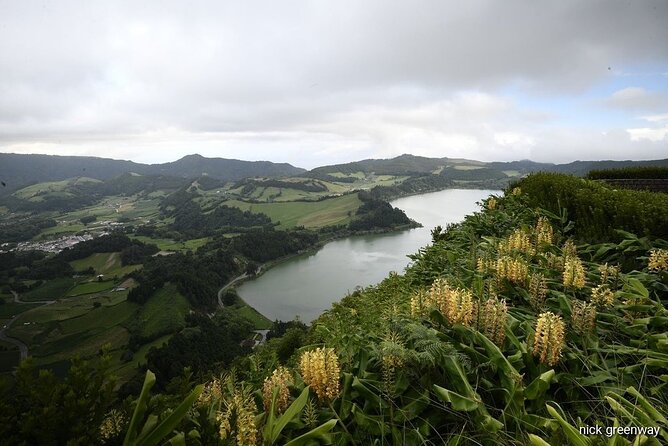 Private Full-Day 4x4 Tour to Furnas Volcano - Start at the Iconic Chá Gorreana Tea Plantation in Emerald Green Hills