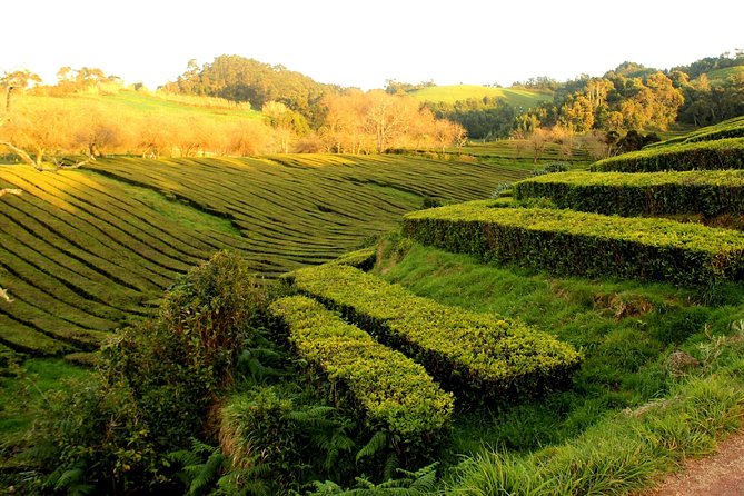 Private Full-Day 4x4 Tour to Furnas Volcano - Relaxing in the Thermal Baths of Poça da Dona Beija