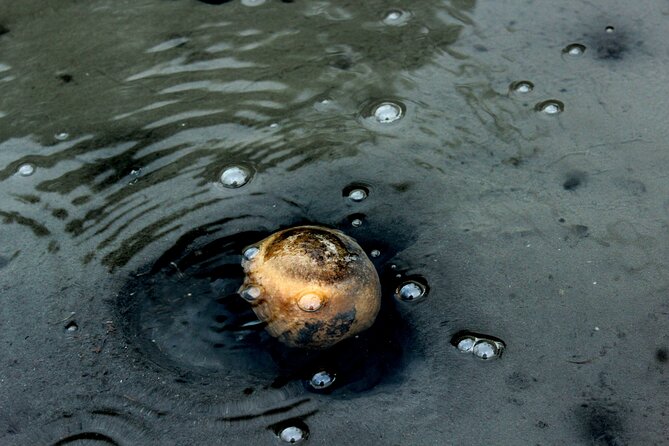 Private Full-Day 4x4 Tour to Furnas Volcano - Personalized and Flexible Experience Led by Knowledgeable Guides