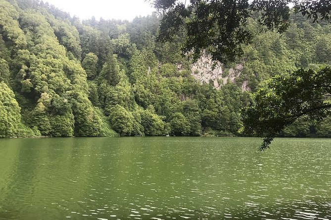 Private Full-Day 4x4 Tour to Furnas Volcano - Comfortable Transport and Convenient Logistics