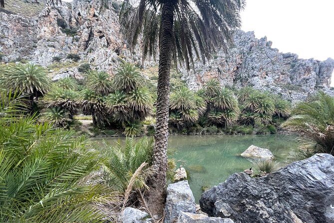 Private Full-Day Adventure: Preveli, Waterfalls & Kalypso Beach - Exploring Spili’s Authentic Cretan Charm