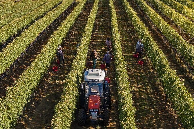 PRIVATE Full-Day Brunello Wine experience from Florence - Exploring the Medieval Charm of Montalcino Town
