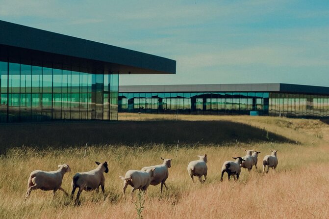 Private full-day Champagne Cellars tour from your hotel in Paris - Key Points