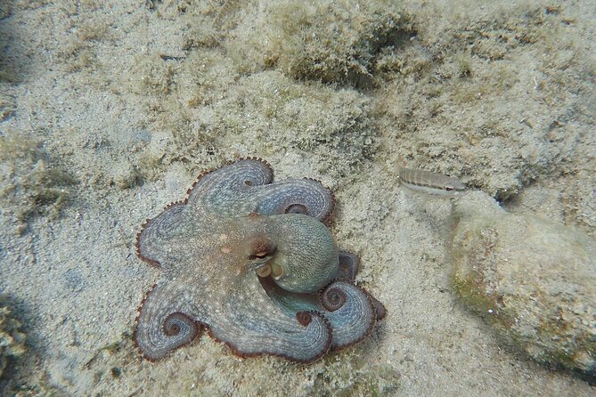 Private Full Day Cruise Tour in Naxos Town - Booking and Flexibility