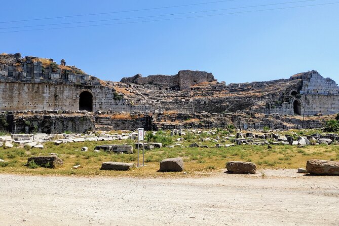 Private Full-Day Ephesus Tour with Miletus and Didyma for Cruise Guests - Explore the Ancient Cities of Ephesus, Miletus, and Didyma for a Full Day of History and Culture