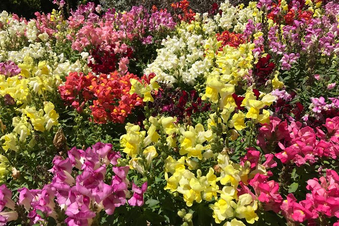 Private Full-Day Girona GOT and Costa Brava Tour - What Sets This Tour Apart: Focused on Film, History, and Coastal Charm