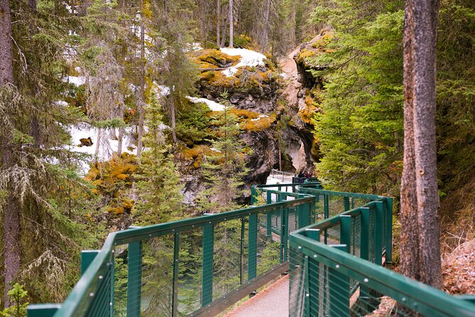Private Full Day Guided Tour at Banff Iconic Attraction - Reaching the Summit of Sulphur Mountain (Optional)