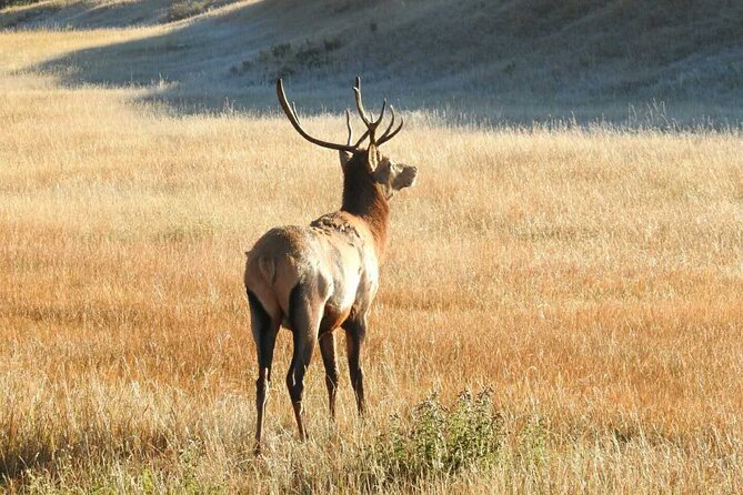 Private Full Day Guided Tour at Banff Iconic Attraction - Watching Bow Falls in Action