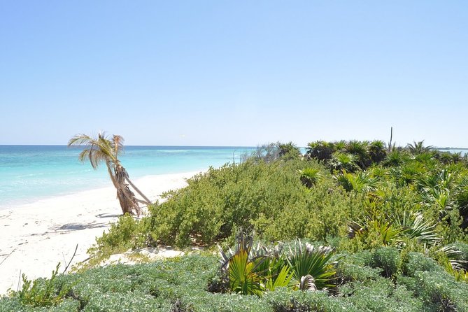 Private Full-Day Guided Tulum Coba and Cenote Tour with Lunch - Key Points