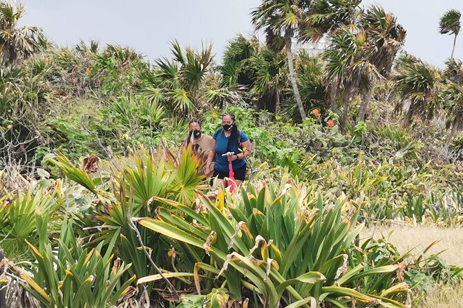 Private Full-Day Guided Tulum Coba and Cenote Tour with Lunch - Lunch and Refreshments: Fuel for Your Day