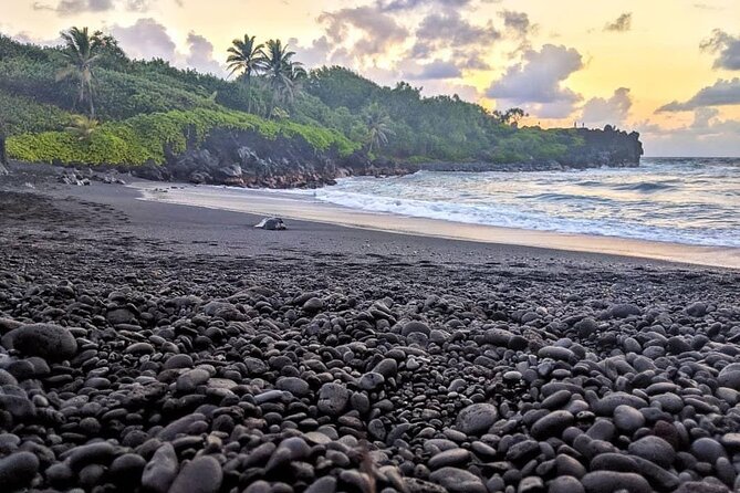 Private Full Day Hana Jeep Tour - Practical Tips for Booking and Participation