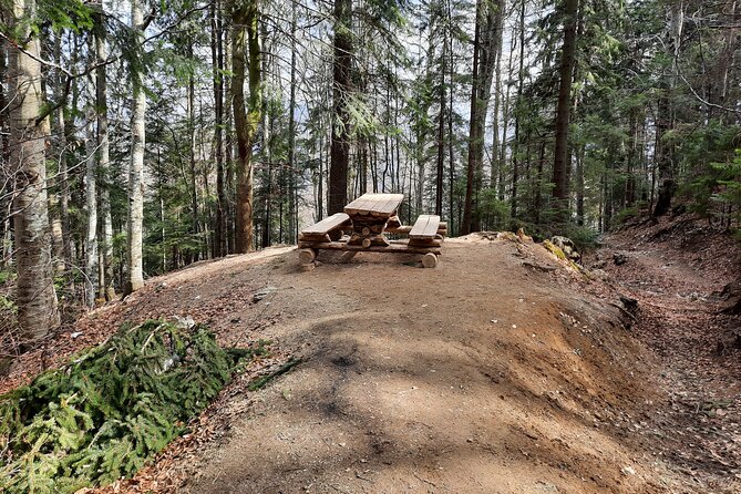 Private Full-Day Hiking Tour in Piatra Craiului National Park - How the Tour Starts with Ease in Brasov