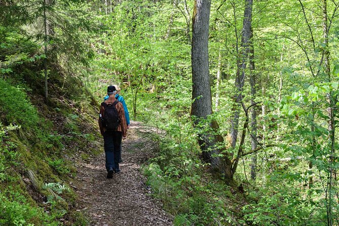 Private Full-Day Hiking Tour in Sigulda and Gauja National Park - Key Points