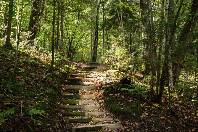 Private Full-Day Hiking Tour in Sigulda and Gauja National Park - Walking Through Krimulda Estate and Manor