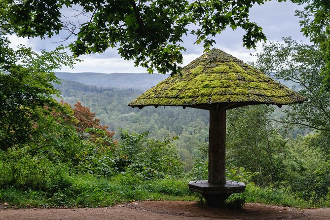 Private Full-Day Hiking Tour in Sigulda and Gauja National Park - The Scenic 15 km Hike Through Latvia’s Most Diverse Nature