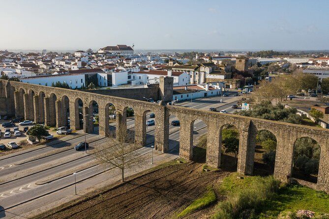 Private Full-Day Historical Tour of Medieval Évora - Explore Medieval Évora with a Private Full-Day Tour from Lisbon