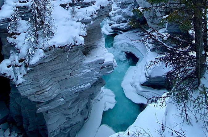 Private Full Day Icefield Parkway Tour - Hiking to Peyto Lake Viewpoint with Ice Cleats