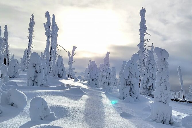 Private Full Day Icefield Parkway Tour - Columbia Icefield: A Glimpse of Glacial Majesty