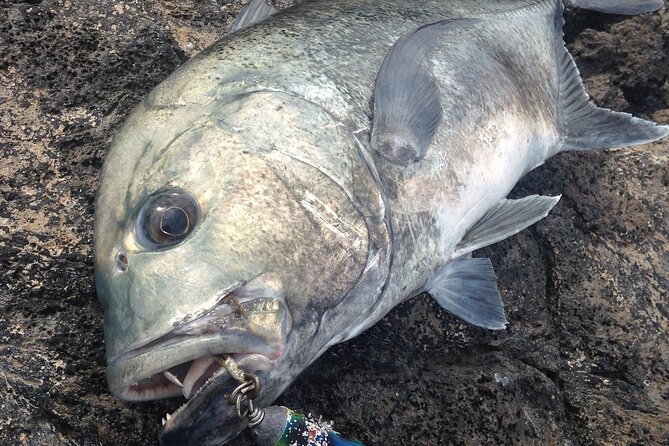 Private Full Day of GT Fishing - Starting Point and Logistics in Hilo
