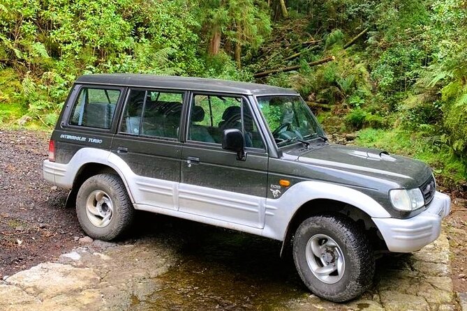 Private Full day Off Road Tour in Azores - Practical Details and Booking Info