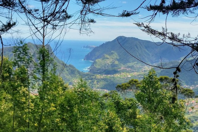 Private Full Day Off-Road Tour in Madeira - The Unique Experience of Porto Moniz Natural Swimming Pools