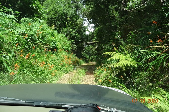 Private Full Day Off-Road Tour in Madeira - The Experience of the Guides and Customer Service