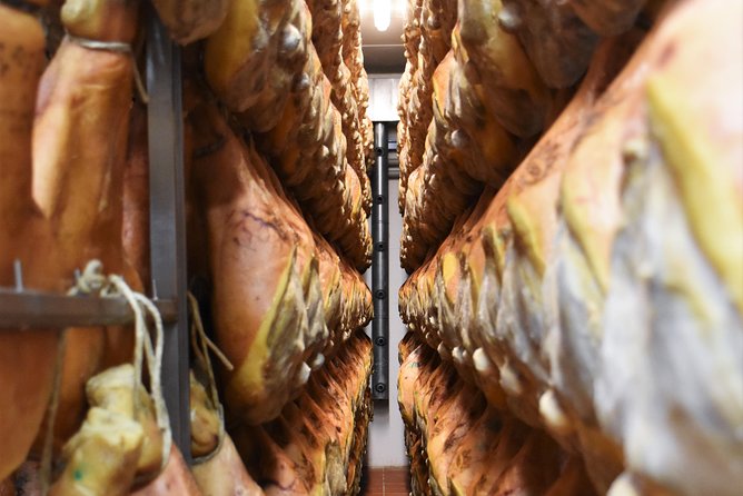 Private Full Day Parma Food Tour: Parmesan Cheese, Parma Ham, Lunch, Vinegar - Exploring Parma’s Cheese Production at the Parmigiano-Reggiano Factory