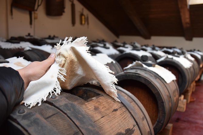 Private Full Day Parma Food Tour: Parmesan Cheese, Parma Ham, Lunch, Vinegar - Optional Transport and Convenient Pickup in Parma