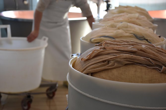 Private Full Day Parma Food Tour: Parmesan Cheese, Parma Ham, Lunch, Vinegar - Pacing, Duration, and Overall Flow