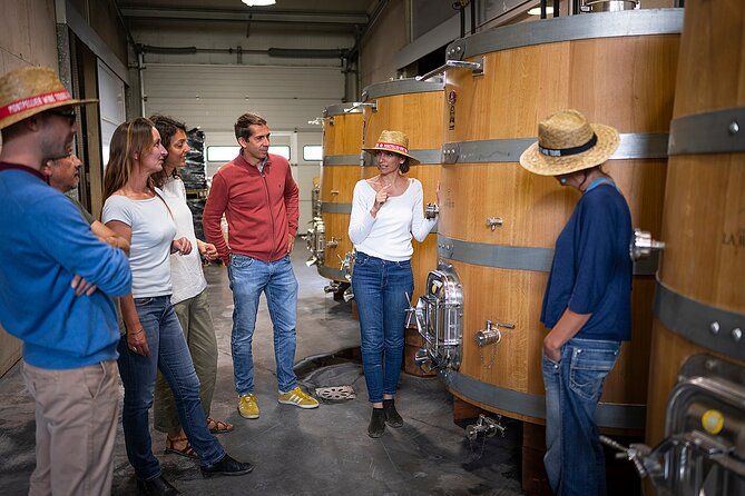 Private Full Day Pic Saint Loup Wine and Olive Tour with Lunch from Montpellier - Key Points