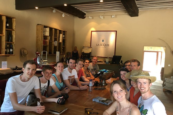 Private Full Day Pic Saint Loup Wine and Olive Tour with Lunch from Montpellier - What Makes This Tour Stand Out